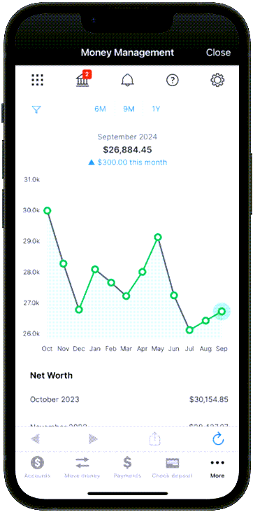 money-management-net-worth