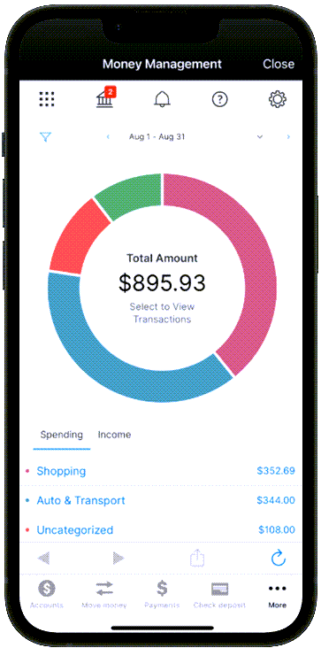 money-management-spending