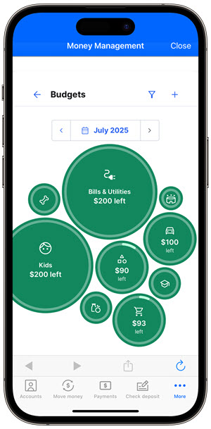 mm-app-budgets